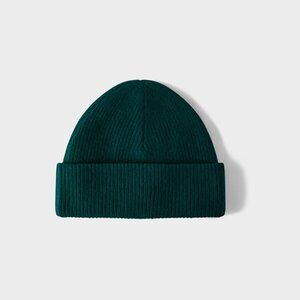 Wilfred Aritzia Dark Green Ribbed Beanie